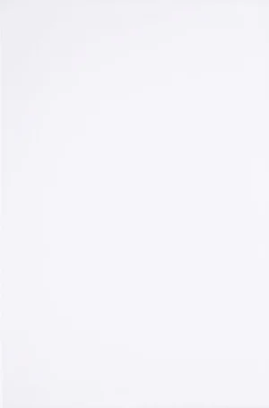 1_2887295a-5617-406e-a8e1-4397d9af7f08 CAJA AZULEJO HELSINKI BLANCO 20 X 30 (1.82 M2) 1RA VITROMEX