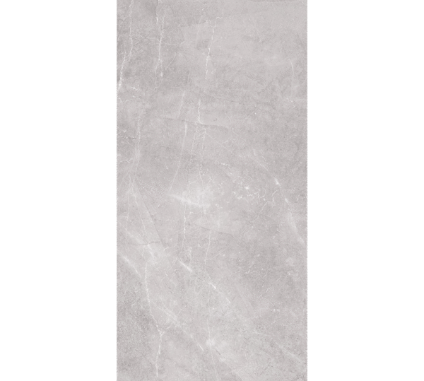 CAJA PISO LIVING PL GRIS PORCELANATO 60 X 120 SEGUNDA RECTIFICADO (1.42MT) ARKO