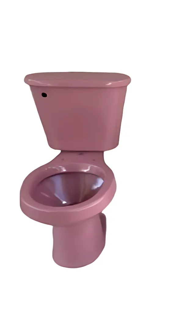 WC TAZA Y TANQUE ROSA MAGNOLIA PREMIER