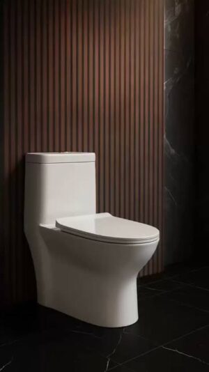 WC ONE PIECE CIPRIANI BLANCO TENDENZZA