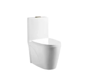 WC ONE PIECE SAN PIETRO PBK110 BLANCO TENDENZZA